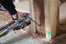 Termite Treatment