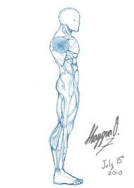 Take a sneak peek at loveology university's male anatomy & arousal course. Male Anatomy Template Side By Shintenzu On Deviantart Drawing Male Anatomy Male Body Drawing Human Anatomy Drawing