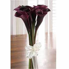 Black Calla Lily Purple Calla Lilies Black Calla Lily Calla Lily