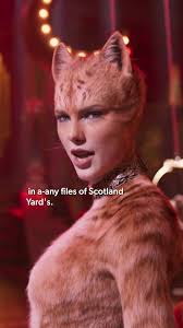 Taylor Swift's Surprise Cat Songs