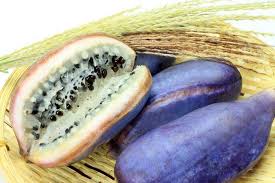 (pretty much all a seedless fruit is a fruit developed to possess no mature seeds.common varities of seedless fruits include watermelons,tomatoes,grapes(such as. 73 Exotic Fruits From Around The World With Pictures Food For Net