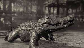 You can't hunt the legendary alligator until you encounter it in the story mission, country pursuits, in chapter 4. Red Dead Redemption 2 Teca Gator And Sun Gator Locations Online