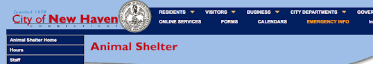 Our experienced bloomfield, ct adoption agency helps connect birth moms and families seeking to adopt. View Pets For Adoption In Brookfield Danbury Fairfield Milford And Beyond Brookfield Animal Hospital