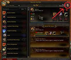 World Of Warcraft - How Can I Heal My Battle Pet? - Arqade