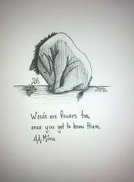 140 Winnie The Pooh Friends Quotes Ideas Winnie The Pooh Pooh Pooh Quotes
