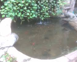 Percobaan Ekosistem Darat Media Ilmu