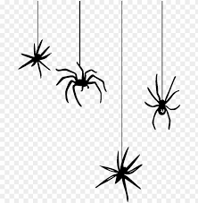 Hanging Spider Png Spiders Halloween Png Image With Transparent Background Png Free Png Images Spider Drawing Spider Web Drawing Halloween Spider Web