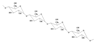 Starch Is A Carbohydrate Macromolecules Chart