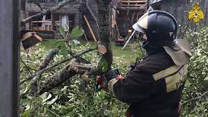 Ураган в тверской области, ураган оставил людей без электричества, игорь маковский провел заседание штаба Athngouo1b89bm