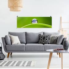 Poster Grune Hoffnung Panorama Querformat Top marken günstige preise große auswahl.
