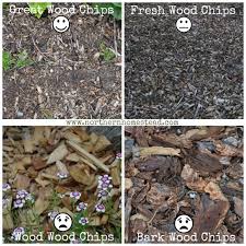 Challenges With The Back To Eden Method Northern Homestead Wood Chips Landscaping Wood Chips Garden Mulch Landscaping