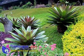 Tanaman yang satu ini sering disamakan dengan bunga sakura karena bentuk dan warnanya yang mirip. 10 Macam Bunga Untuk Taman Minimalis Tukang Taman Surabaya