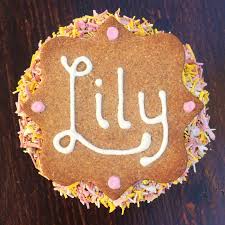 Nos recettes de friandises pour chien. Gateau Personnalisable Bio Pour Chiens Gateau D Anniversaire Chien