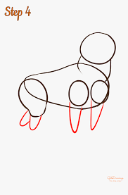 They are usually a combination of white, ginger, tanned, red or black. How To Draw A Shiba Inu Dog Line Art Hd Png Download Kindpng