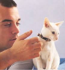 Carmen Klapperich's Instagram, Twitter & Facebook