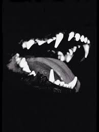 Pin By Kara On Red Dog Teeth Black Grunge Losing A Dog