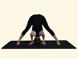 Prasarita Padottanasana A B C D Wide Legged Forward Bend A B C D
