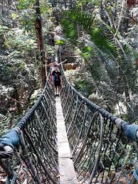 Bukit gasing was formerly a rubber plantation that was abandoned for 50 years. Bukit Gasing Forest Reserve Kuala Lumpur 2019 All You Need To Know Before You Go With Photos Tripadvisor Forest Reserves Kuala Lumpur Trip Advisor