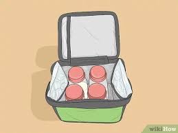 The time is lessened as compared to. How To Keep Breast Milk Cold Without A Fridge 8 Steps