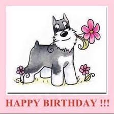 13393945 10154212991242346 8906924175875779627 N Jpg 480 484 Happy Birthday Dog Happy Birthday Dog Meme Dog Birthday