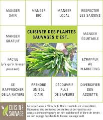 Véritable plateforme dédiée à la plante sauvage, cuisine sauvage vous propose des conseils, infos et recettes à base de plantes sauvages. Cuisine Sauvage Plaidoyer Pour La Cuisine Sauvage Facebook