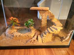 Out Of Styrofoam Glue And Grout For My Leopard Geckos Leopard Gecko Gecko Terrarium Gecko Habitat