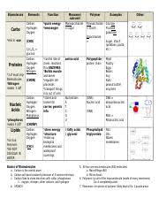 Biomolecules Chart Pdf Biomolecule Carbohydrates End In