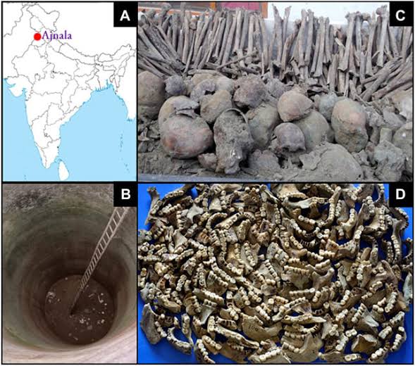 DNA analysis has finally unveiled the mystery of the human skeletons found in Punjab 8 years ago during the excavation near Amritsar. Initially thought to be martyrs from the partition, the skeletons