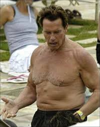 The anterior muscles of the torso (trunk) are those on the front of the body, including the muscles of the chest, abdomen, and pelvis. Where Did Arnold Schwarzenegger S Muscles Go Why Is He So Much Smaller Now Quora