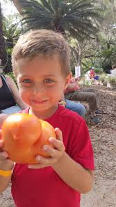 Tomato Feastival a feast of good food, brews and community