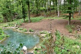 Neu Erstelltes Wolfsgehege Zoo Osnabruck Zoo Garten Landschaftsbau