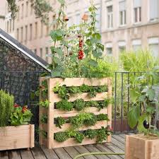 Comment faire pour attirer les coccinelles dans son jardin ? Creer Un Ecosysteme Sur Un Balcon Marie Claire