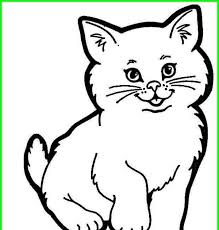  Gambar Kucing Yang Mudah 5000 Gambar Kucing Lucu Imut Dan Paling Menggemaskan Sedunia Cara Mudah Merawat Kucing A Gambar Kucing Lucu Menggambar Kucing Kartun