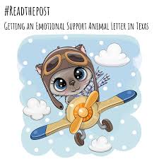 How To Get An Esa Letter In Texas Getting An Emotional Support Animal Letter In Texas In 2020 Animal Letters Emotional Support Animal Animals