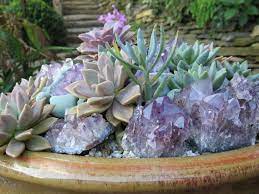 Gardening Trick Using Crystals Succulents Plants Crystal Garden