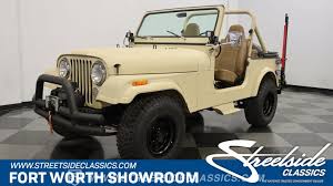 Image result for Beige 1986 Fleet