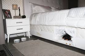 Though not every dog bed can be handled in this way, the majority of dog beds are built around a cushion, so you can simply remove their outer linings and place them into your washing machine with the rest of your laundry. This Mattress Has A Built In Pet Bed Because The Snuggle Is Real
