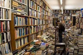 Voltaire Rousseau Bookshop Dream Library Bookstore