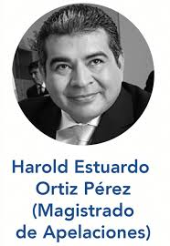 Guatemala Visible على X: "#PostuladoraVisible🔎 El aspirante Harold Ortiz  es electo para integrar la nómina de candidatos a magistrados de Corte de  Apelaciones. Ortiz actualmente es miembro de la Comisión de Postulación