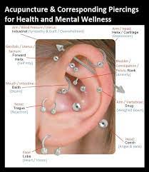 Pin On Piercings