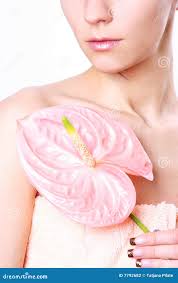 2,060 Flowe Petal Stock Photos