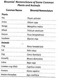 The Living World Class 11 Notes Thelivingworldclass11notes Class11notesbiologychapter1 Cbsetuts Biology Notes Biology Medical Quotes