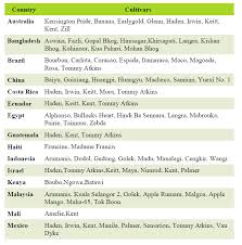 It has a mild sweet flavor. Mango Common Varieties Tfnet International Tropical Fruits Network