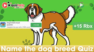 Many were content with the life they lived and items they had, while others were attempting to construct boats to. Name The Dog Breed Quiz Answers 100 Video Facts Quizhelp Top Youtube