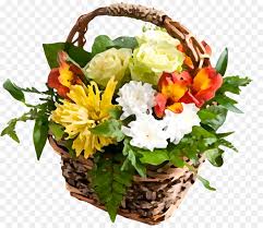 Sul nostro sito internet, puoi regalare fiori per il compleanno dei tuoi cari. Compleanno Bouquet Di Fiori Di Carta Da Parati Desktop Clip Art Compleanno Scaricare Png Disegno Png Trasparente Fiore Png Scaricare