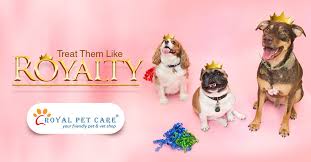 From wellness exams and vaccines to advanced diagnostics and complex surgical procedures, your dog, cat or animal will receive high quality care at our hospital. At Royalpetcare We Believe That Every Pet Should Be Treated Like Royalty This Is Why We Offer A Host Of Services To Pet Care Pet Clinic Dog Boarding Near Me