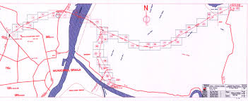 Peste 20 de ani vor circula doar oile pe el. Consiliul Judetean Braila