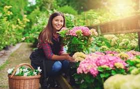 Find garden designers near horsham, get reviews, contact details and submit reviews for your local tradesmen. Garden Services Horsham West Sussex Landscaping
