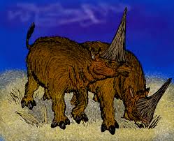 A more recent date of 26,000 bp is considered less reliable. Datei Elasmotherium Sibiricum Jpg Wikipedia