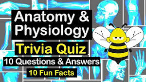 Among these were the spu. Discover Our Amazing Human Body Play Human Body Trivia Quizzes Uncover Fascinating Fun Facts Youtube